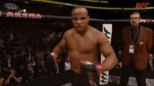 GIF