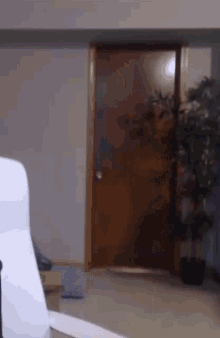 a wooden door is open in a room with a plant in the background .