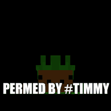 hypixel pit timmy pit permed major w