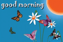 Good Morning Butterflies GIF - Good Morning Butterflies Flower GIFs