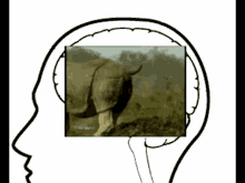 Poop Brain GIF - Poop Brain GIFs