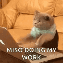 Cat Typing GIF - Cat Typing Work GIFs