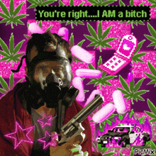a man wearing a gas mask is holding a gun and says you 're right ... i am a bitch