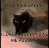 a black cat is sitting on a bed with the words i love pussyyyy i love pussyyyy give me pussyyyy