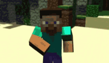 Steve Minecraft GIF