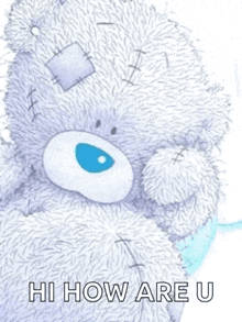 a teddy bear with a blue eye and a patch on its head says hi how are u