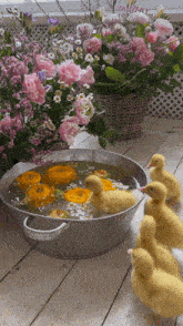Cute Baby Ducks GIF - Cute Baby Ducks GIFs