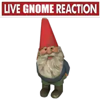 a gnome with a red hat and the words live gnome reaction behind him