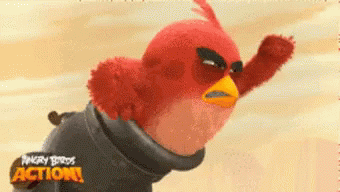 Angry Birds GIF - Angry Birds - Discover & Share GIFs