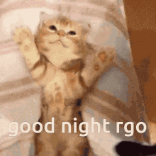 Goodnight Rgo GIF - Goodnight Rgo Real Gamers Only GIFs