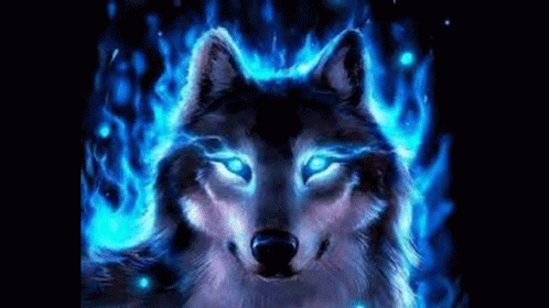 black wolves with blue eyes anime