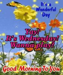 Wednesday Yay Wednesday GIF - Wednesday Yay Wednesday Wanna Play GIFs