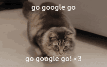 google moment go google go