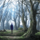 a person in a blue jacket is standing in a forest .