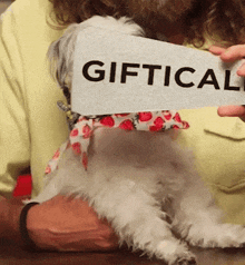 a person is holding a sign that says giftical over a dog