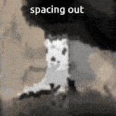 a drawing of a cat with the words spacing out below it