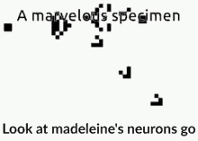 madeleine neurons