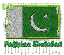 Pakistani Flag Glittery GIF - Pakistani Flag Glittery GIFs