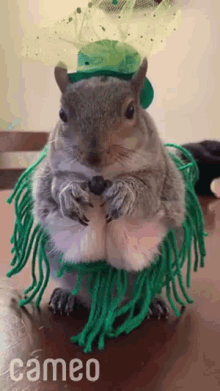 Esquilo Meme GIF - Esquilo Meme Comendo GIFs
