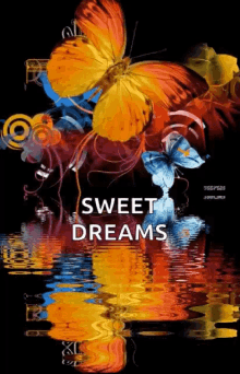Sweet Dreams Good Night GIF - Sweet Dreams Good Night Butterfly GIFs