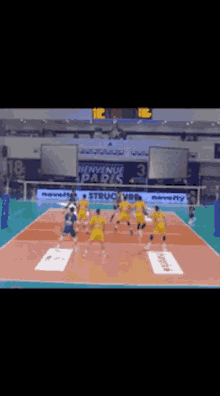 Volleyball Renan GIF - Volleyball Renan Michelucci GIFs