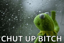 a kermit the frog is standing in front of a window with the words " shut up bitch "