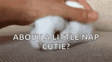 Bunny About A Little Nap GIF