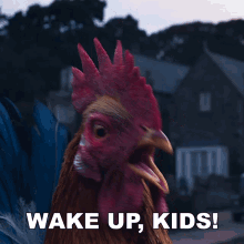 Wake Up Kids Jw Rooster GIF