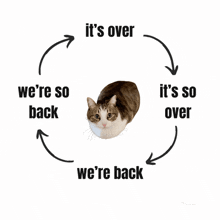 a cat is in a circle with the words it 's over we 're so back