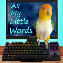a parrot standing on a keyboard in front of a computer monitor that says all my little words