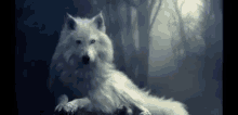 Howling Wolf GIF - Howling Wolf Ahoho GIFs