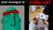 Cute Cat Scungus GIF - Cute Cat Cat Scungus GIFs
