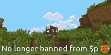 Banned From P No Longer GIF - Banned From P No Longer Minecraft GIFs