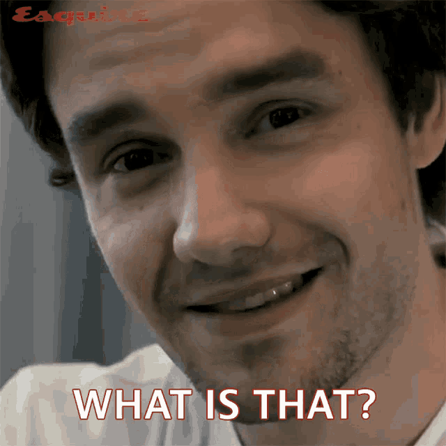 What Is That Liam Payne GIF – What Is That Liam Payne Esquire