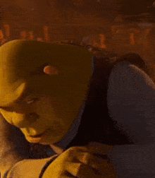 Shreks Meme GIF - Shreks Meme GIFs