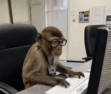 a monkey wearing glasses sits at a desk with a name tag that says ' monkey ' on it