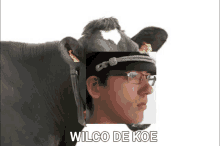 Wilco Koe GIF