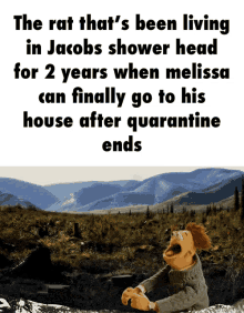 Washed Out Puppet GIF - Washed Out Puppet The Rat In Jacobs Shower Head GIFs