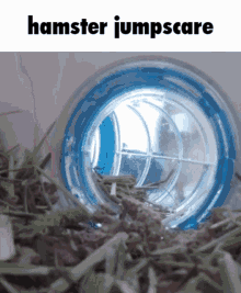 a picture of a hamster in a tunnel with the words hamster jumpscare