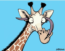 Giraffe Zoo GIF - Giraffe Zoo Animal GIFs