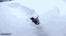 Deep Snow GIF