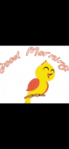 a yellow and red bird is sitting on a branch with the words good morning written below it