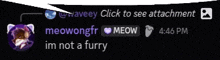 a screenshot of a conversation between meowongfr and waveey click to see attachment im not a furry