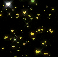 a picture of a cat in a circle with hearts surrounding it and korean writing on it