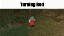 Turning Red Minecraft GIF - Turning Red Minecraft Mario GIFs