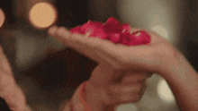 a woman is holding a bunch of red petals in her hand .
