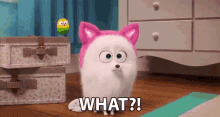 What Surprised GIF - What Surprised Shocked GIFs