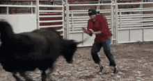 Fail Bullfighting GIF - Fail Bullfighting Bull GIFs