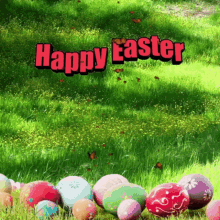 easter bunny easter bunny happy easter easter eggs