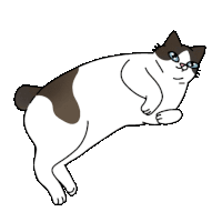 a brown and white cat is laying on its back on a white background .